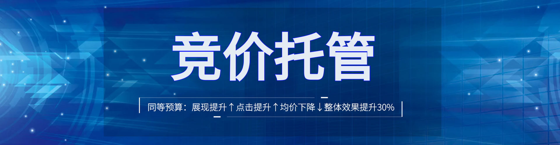 湖北竞价托管
